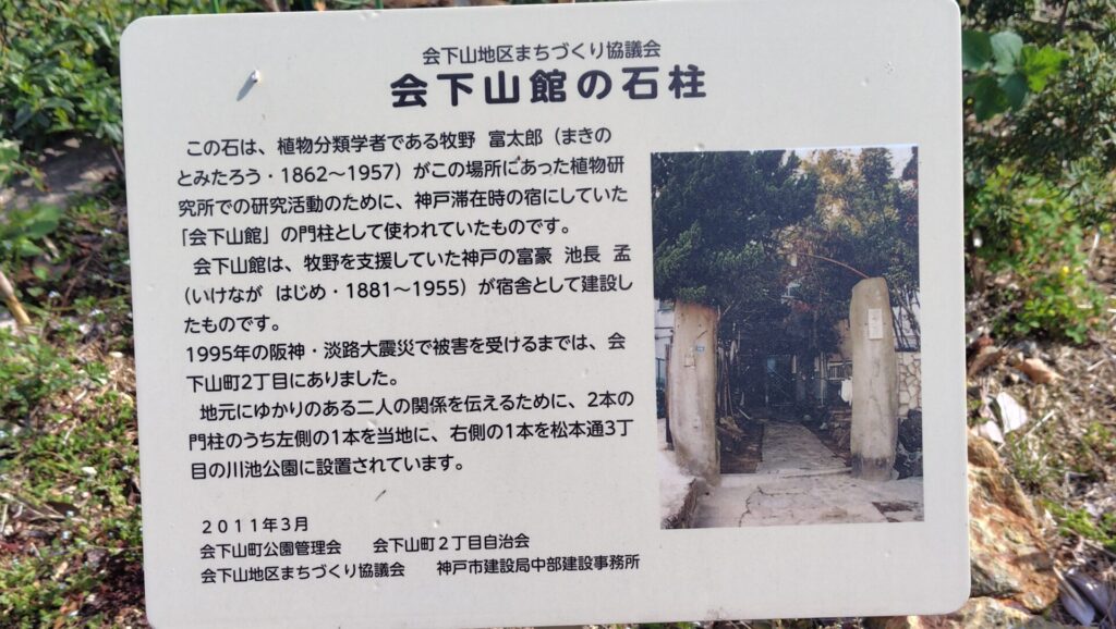 牧野富太郎・植物研究所跡
