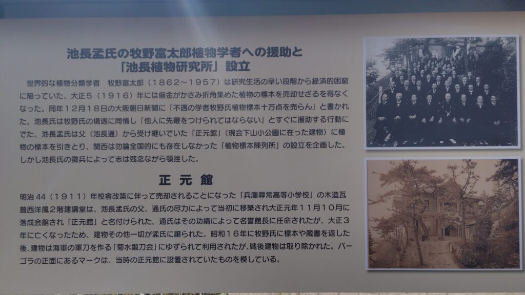 牧野富太郎・植物研究所跡