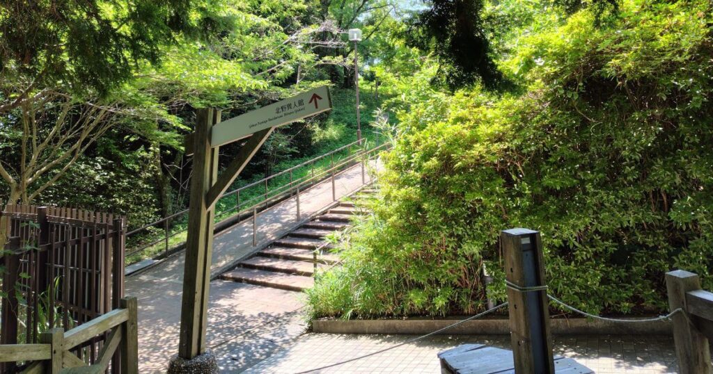 林の中の北野遊歩道
