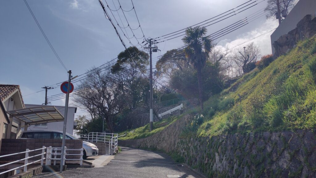 牧野富太郎・植物研究所への道
