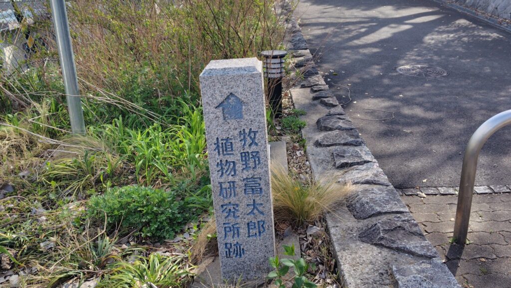 牧野富太郎・植物研究所跡