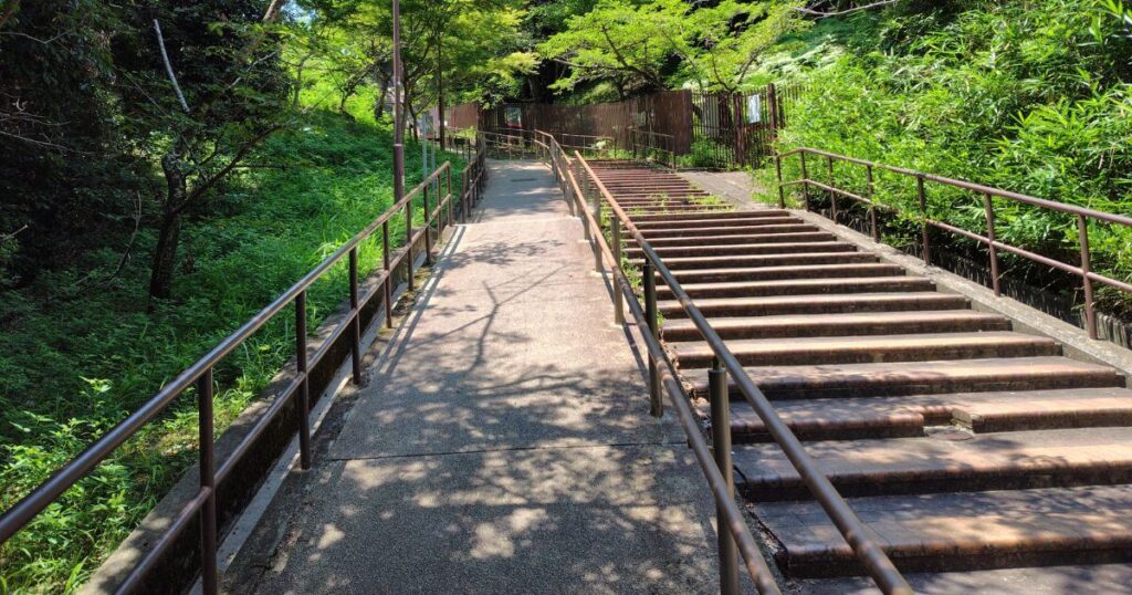 整備された林の中の北野遊歩道