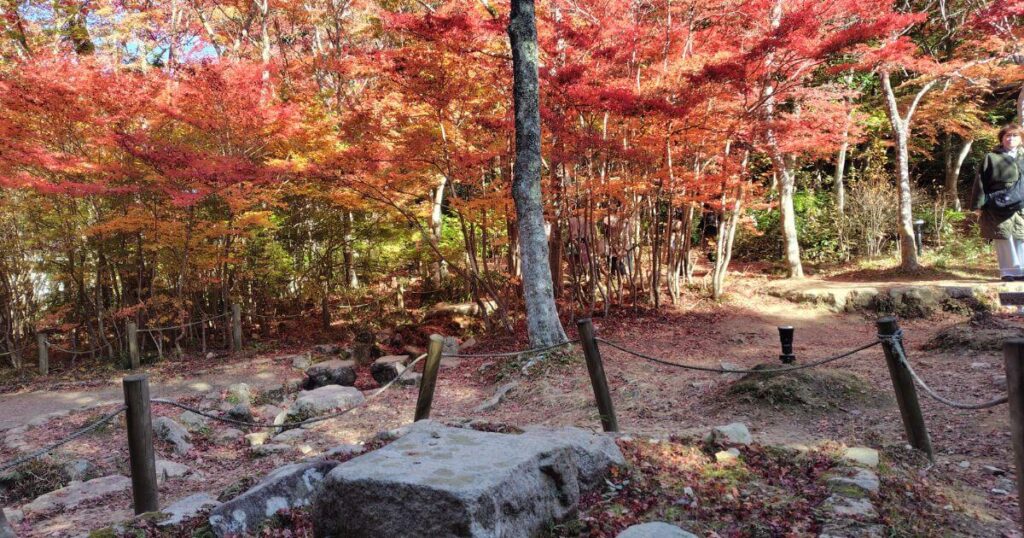 秀吉の石の碁盤と紅葉
