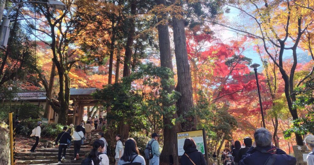 瑞宝寺公園の山門の前