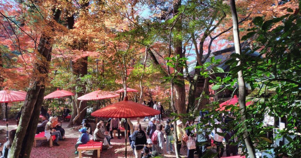 園内中央の広場の紅葉