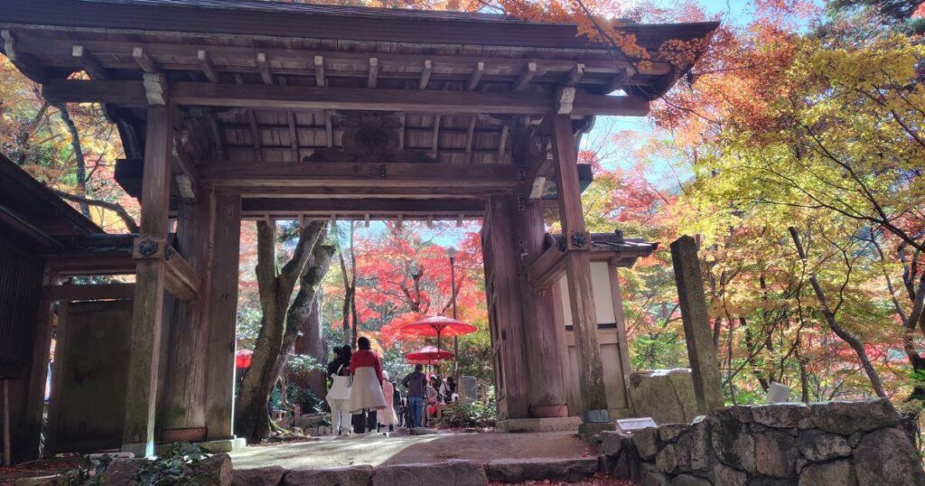 瑞宝寺公園の山門