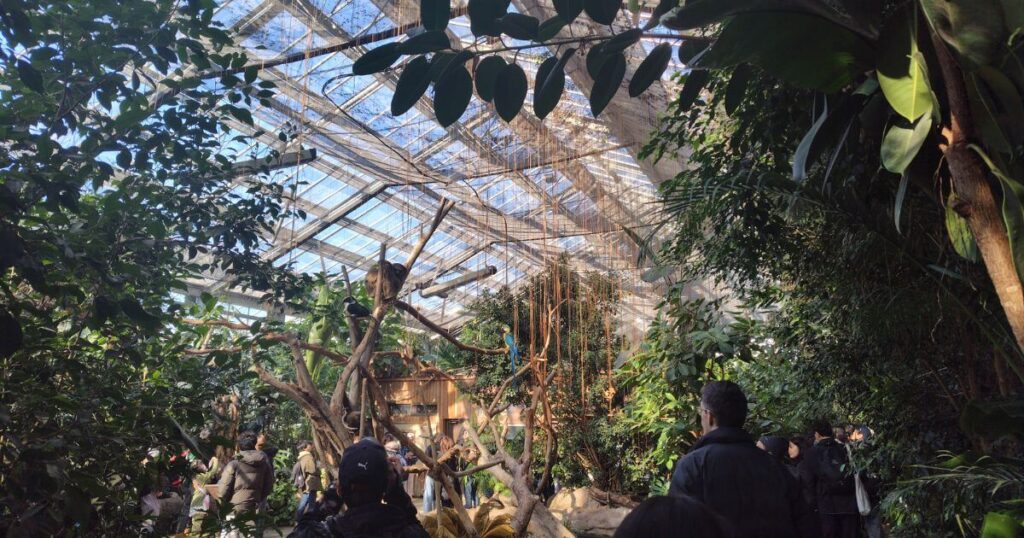 植物と動物の美しい空間