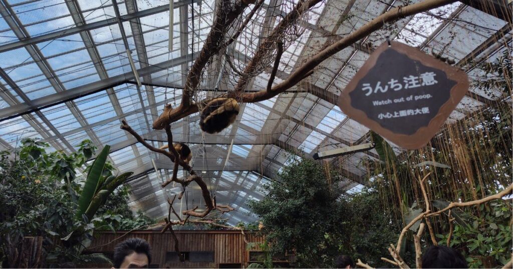 うんち注意の看板