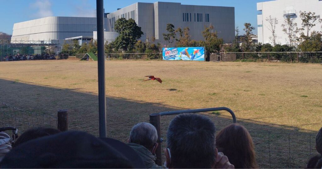 バードパフォーマンス