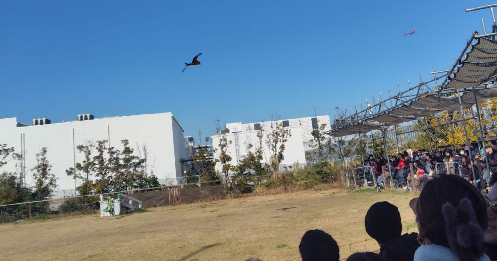 バードパフォーマンス