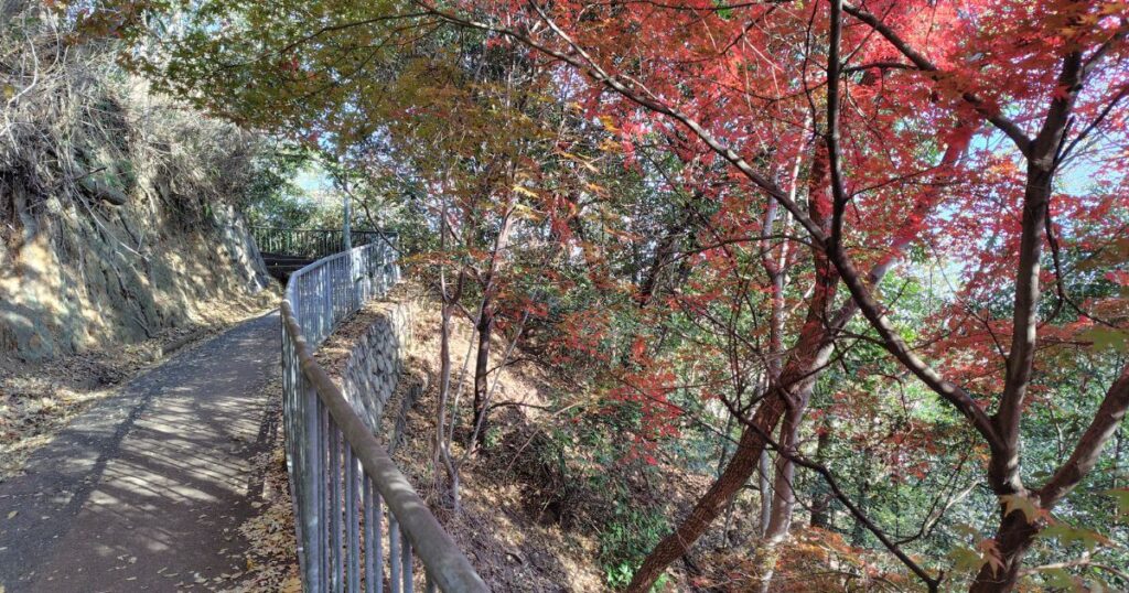 紅葉の遊歩道