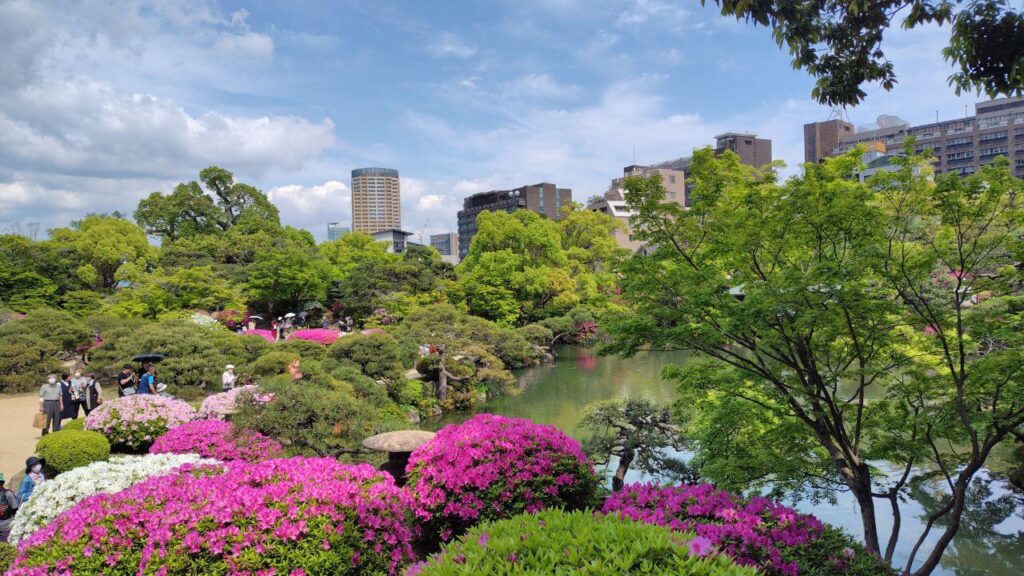 池のまわりのつつじ