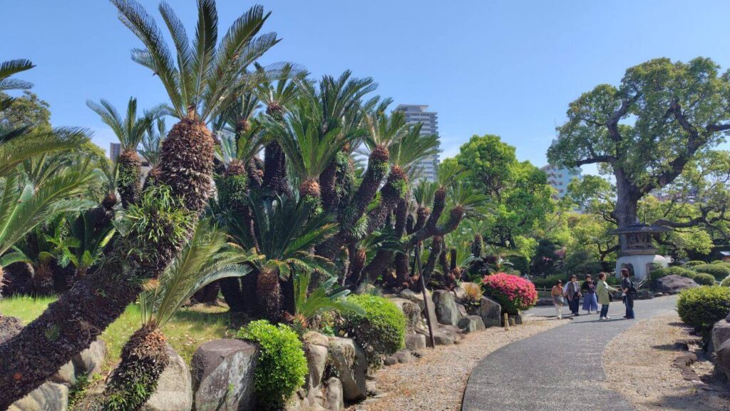 蘇鉄園