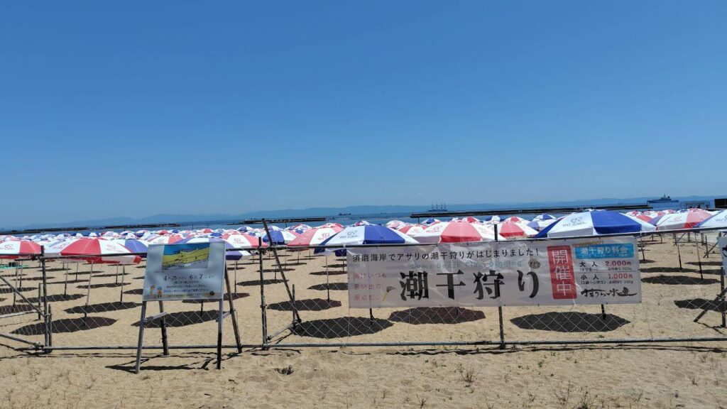 潮干狩りの会場のパラソル