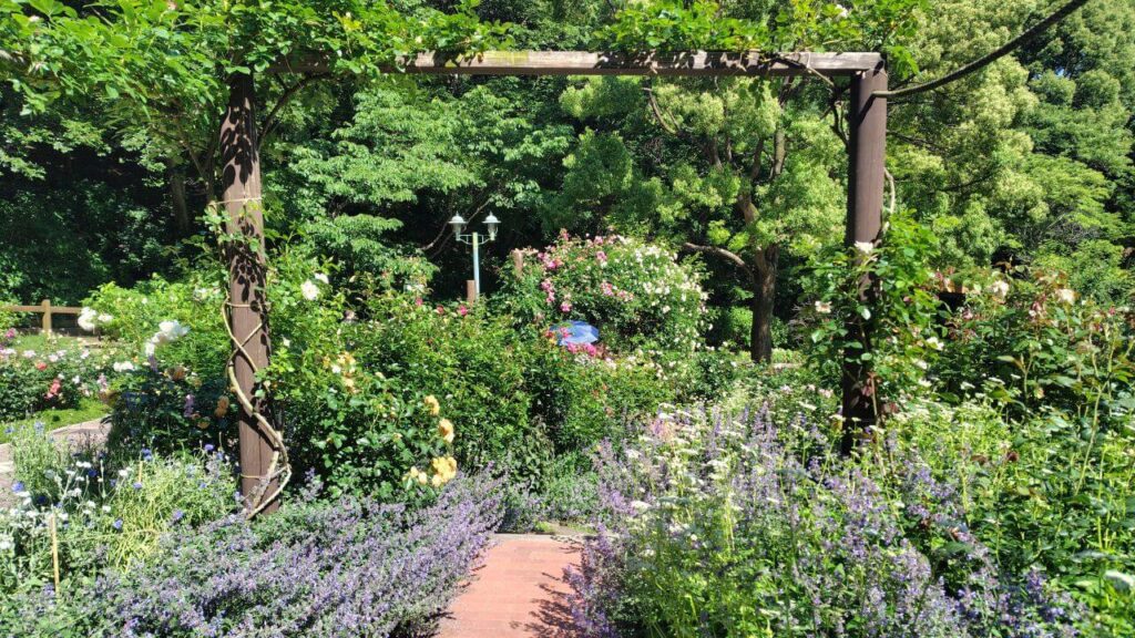 四季の庭の春の花