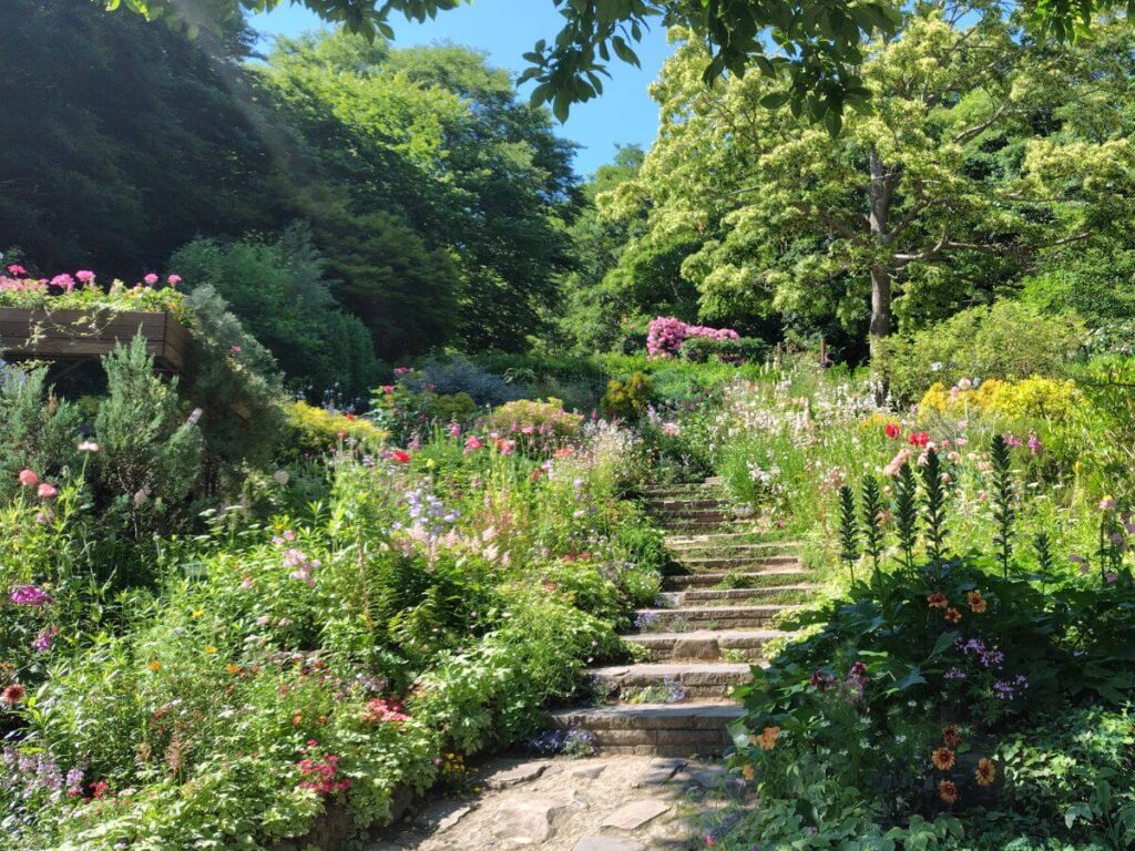 花やハーブと階段のある四季の庭